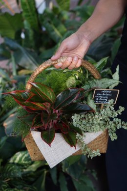 คนโฆษณาและภาพยนตร์ รวมตัวเปิดแบรนด์แห่งชีวิต "ปักกิ่งดี" ที่จะเป็นทางเลือกใหม่ในทุกโอกาส