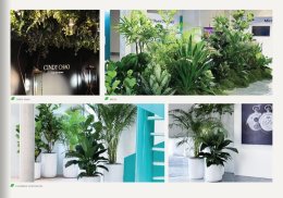 คนโฆษณาและภาพยนตร์ รวมตัวเปิดแบรนด์แห่งชีวิต "ปักกิ่งดี" ที่จะเป็นทางเลือกใหม่ในทุกโอกาส