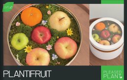 คนโฆษณาและภาพยนตร์ รวมตัวเปิดแบรนด์แห่งชีวิต "ปักกิ่งดี" ที่จะเป็นทางเลือกใหม่ในทุกโอกาส