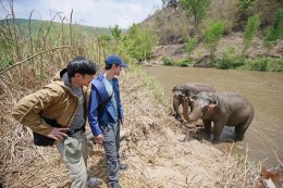 คู่ซี้ 'คิม กู๊ดเบิร์น' และ 'ต๋อง ชัยธวัช' จากเวที 'Mister International Thailand' ชวนท่องเที่ยวแนวใหม่ แบบเป็นมิตรกับช้าง ณ ปางช้าง BEES จ. เชียงใหม่