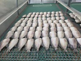 'เอ-แป้ง' พาไปบางบ่อ ชมแหล่งผลิตปลาสลิดแปรรูปคุณภาพเยี่ยม ชวนไหว้พระ ขอพร ชิมเมนูเด็ด ใน "มิตรรัก ทั่วไทย"