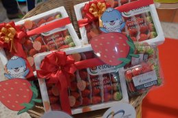 สตรอว์เบอร์รีเมืองจินจู เกาหลีใต้ รุกตลาดไทยเต็มรูปแบบ จัดกิจกรรมเปิดตัวและส่งเสริมการขายในซูเปอร์มาร์เก็ตชั้นนำ