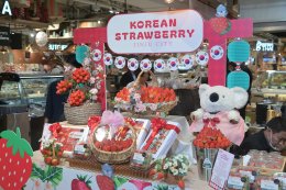 สตรอว์เบอร์รีเมืองจินจู เกาหลีใต้ รุกตลาดไทยเต็มรูปแบบ จัดกิจกรรมเปิดตัวและส่งเสริมการขายในซูเปอร์มาร์เก็ตชั้นนำ