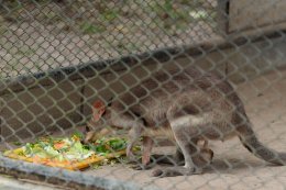 ซีพี แอ็กซ์ตร้า ตอกย้ำความสำเร็จการจัดการขยะครบวงจร พร้อมขับเคลื่อนสู่เป้าหมายขยะเป็นศูนย์ ในปี 2030