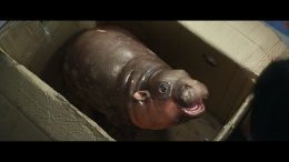 ส่อง!ความน่ารัก 'หมูเด้ง' ครั้งแรกโลดแล่นบนแผ่นฟิล์ม ดึงทีมซีจีมือดีปั้นฮิปโปซุปตาร์ใน "ฟู้ดทรัค ลัก(รัก)หมูเด้ง"