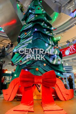 หยิ่น-วอร์ เปิดฉากคริสต์มาสแรกของ Central Park กับต้น "The Velvet Pine" พร้อมโชว์เปิดฤดูกาลแห่งความสุขสุดอบอุ่น เติมเต็มบรรยากาศเทศกาลด้วยแฮพเพนนิ่งตลอดปี
