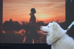 GDH แถลงข่าวเปิดตัวภาพยนตร์ "โกฮัง..หัวใจโกโฮม" เสิร์ฟโมเมนต์สุดอบอุ่น เปิดตัว เจ้าโกฮังและเหล่านักแสดงนำเป็นครั้งแรก 2 เมษายนนี้ ในโรงภาพยนตร์