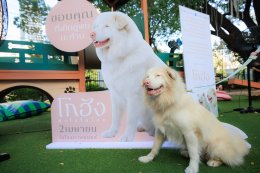 GDH แถลงข่าวเปิดตัวภาพยนตร์ "โกฮัง..หัวใจโกโฮม" เสิร์ฟโมเมนต์สุดอบอุ่น เปิดตัว เจ้าโกฮังและเหล่านักแสดงนำเป็นครั้งแรก 2 เมษายนนี้ ในโรงภาพยนตร์