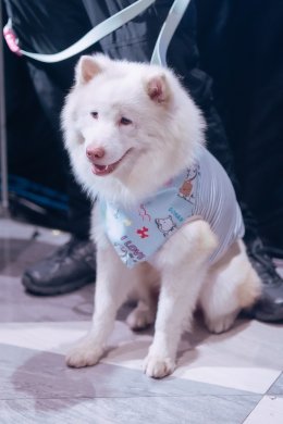 GDH จัดงาน "โกฮัง น่ารักเกินร้อย ฮีลใจเกินล้าน ดูกันยกบ้าน สงกรานต์ปีนี้" ส่งต่อโมเมนต์อบอุ่นหัวใจ ต้อนรับเทศกาลปีใหม่ไทย ("โกฮัง..หัวใจโกโฮม" ฉายแล้ววันนี้ในโรงภาพยนตร์)