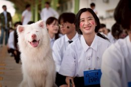 กระแสตอบรับหนังตัวอย่าง "โกฮัง..หัวใจโกโฮม" มาเเรง GDH เสิร์ฟต่อภาพเซ็ตเเรก พร้อมเรื่องย่อ ตอกย้ำความน่ารักน่าดูของหนังเรื่องนี้