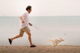 กระแสตอบรับหนังตัวอย่าง "โกฮัง..หัวใจโกโฮม" มาเเรง GDH เสิร์ฟต่อภาพเซ็ตเเรก พร้อมเรื่องย่อ ตอกย้ำความน่ารักน่าดูของหนังเรื่องนี้