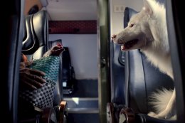 กระแสตอบรับหนังตัวอย่าง "โกฮัง..หัวใจโกโฮม" มาเเรง GDH เสิร์ฟต่อภาพเซ็ตเเรก พร้อมเรื่องย่อ ตอกย้ำความน่ารักน่าดูของหนังเรื่องนี้