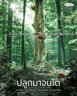 กาแฟมีวนา กาแฟอินทรีย์รักษาป่า ในเครือกลุ่มบริษัทพรีเมียร์ เปิดตัวแคมเปญ "มีวนา ปลูกมาจนโต..MiVana Living Together,Growing Together" ตั้งเป้าปลูกป่าต้นน้ำเชียงราย 10,000 ต้น ผ่านกาแฟอินทรีย์มีวนาทุกแก้ว เพื่ออนุรักษ์และฟื้นฟูป่า พร้อมช่วยลดปัญหา