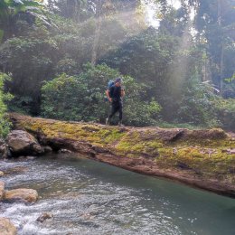 Impact แคมป์พาเดิน #เดินป่า ขุนน้ำปัว อุทยานแห่งชาติดอยภูคา