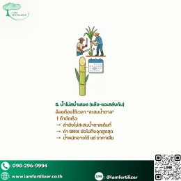 อ้อยไม่หวานเพราะอะไร ???  5 สาเหตุที่ชาวไร่มองข้าม !!!