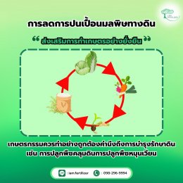 วิธีลดการปนเปื้อน " มลพิษทางดิน "