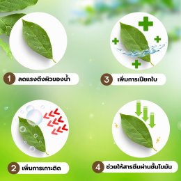 สารจับใบ ตัวช่วยเรื่องการดูดซึม