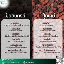 ปุ๋ยอินทรีย์ VS ปุ๋ยเคมี ต่างกันอย่างไร ?