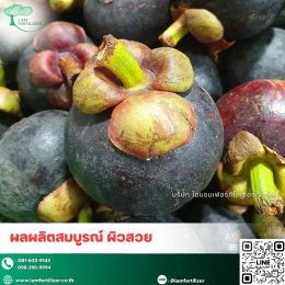 สารปรับสภาพดิน กรดอะมิโนน้ำสกัด 