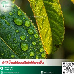สารจับใบ น้ำยาเกาะใบดีแผ่กระจายดี ไม่ไหลทิ้งง่าย