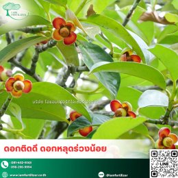  สารปรับสภาพดิน กรดอะมิโนน้ำสกัด 