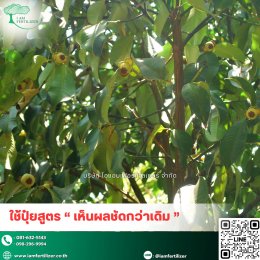  สารปรับสภาพดิน กรดอะมิโนน้ำสกัด 