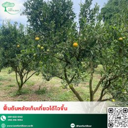 ไคโตซานทำงานยังไงกับพืช ?