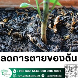 ไตรโคเดอร์มา VS BS ต่างกันยังไง
