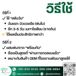 2เชื้อ #เมธาไรเซียม #บิวเวอเรีย ดีกว่า 1จริงไหม? ควบคุมแมลงทั้งสวน