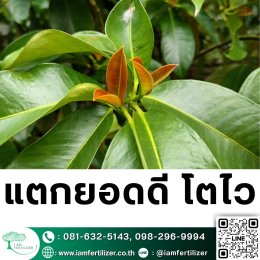 ไตรโคเดอร์มา VS BS ต่างกันยังไง