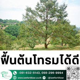 ไตรโคเดอร์มา VS BS ต่างกันยังไง