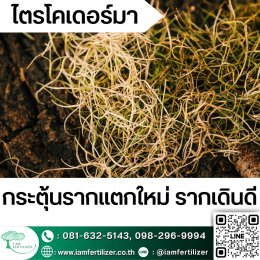 BS, ไตรโคเดอร์มา ใช้ผิดชีวิตเปลี่ยน ???