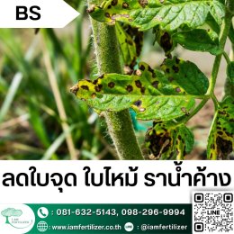 BS, ไตรโคเดอร์มา ใช้ผิดชีวิตเปลี่ยน ???