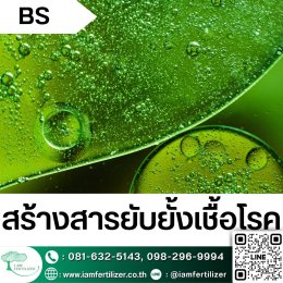 BS, ไตรโคเดอร์มา ใช้ผิดชีวิตเปลี่ยน ???