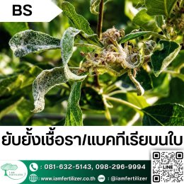 BS, ไตรโคเดอร์มา ใช้ผิดชีวิตเปลี่ยน ???