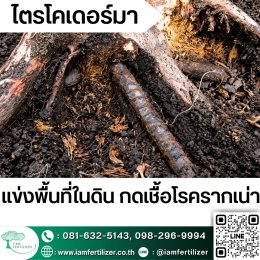 BS, ไตรโคเดอร์มา ใช้ผิดชีวิตเปลี่ยน ???