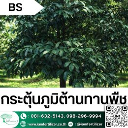 BS, ไตรโคเดอร์มา ใช้ผิดชีวิตเปลี่ยน ???