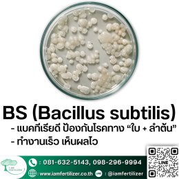 BS, ไตรโคเดอร์มา ใช้ผิดชีวิตเปลี่ยน ???