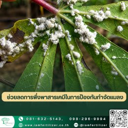รับจ้างผลิตชีวภัณฑ์ กำจัดแมลงศัตรูพืช