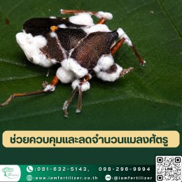 รับจ้างผลิตชีวภัณฑ์ กำจัดแมลงศัตรูพืช