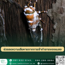 รับจ้างผลิตชีวภัณฑ์ กำจัดแมลงศัตรูพืช
