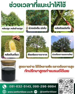 ใบไม่เขียว ยอดไม่เดิน แตกกอช้า ? ถึงเวลาบูสต์พืชด้วย สูตรเร่งใบเขียว !