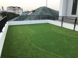Roof Garden Solution