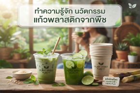 ทำความรู้จัก "นวัตกรรมแก้วพลาสติกจากพืช"