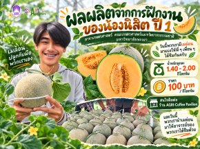 First-Year Agricultural Science Students Showcase Melons from Practical Training