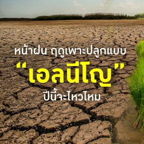 เอลนีโญ คืออะไร เกษตรกรชาวไทยจะรับมือกับฤดูเพาะปลูกเช่นนี้ได้หรือไม่ 