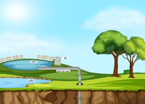 ฟาร์มกุ้ง จังหวัดสุราษฎร์ธานี รุ่นที่ติดตั้ง FROG PUMP