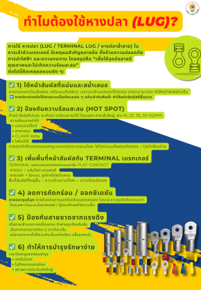 ทำไมต้องใช้หางปลา (LUG)?