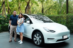 Dog Mode ไอเท็ม (ไม่) ลับสำหรับน้องหมาใน TESLA