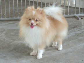 update21/1/69 คอฟฟี่ (อัลมอนด์+อัลวิน)